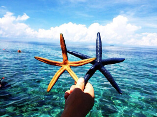 冬季沙巴旅行_深圳出发去沙巴旅游价格_沙巴十日旅游