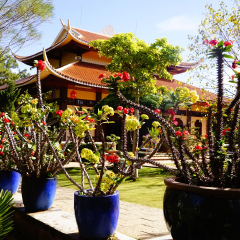 竹林禅寺的#旅图换旅费# #旅拍#