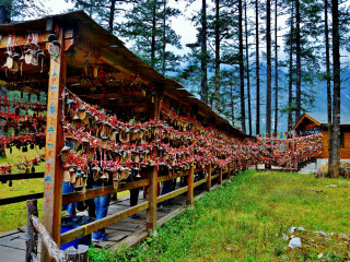 云南玉龍雪山游 旅行團_去云南玉龍雪山旅游_以往國慶云南玉龍雪山游價格