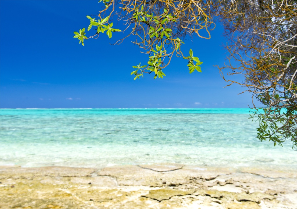 免签海岛,韩国或香港转机,自选酒店,含税费含接