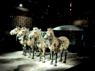西安兵馬俑八月份旅游_西安兵馬俑旅游團(tuán)_西安兵馬俑旅游多少錢一個(gè)人