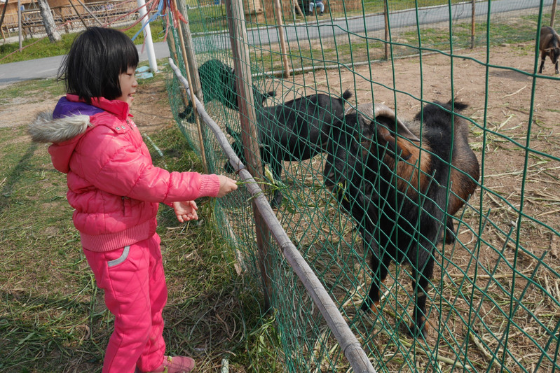 【途牛首发】既住房车又住集装箱货柜,丰富的