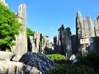 2021去云南麗江旅游團(tuán)報價_云南麗江自由行組團(tuán)_近期云南麗江游價格
