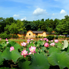 景点模块 