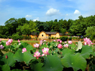 张家界几日游_张家界价格旅游_旅游张家界跟团