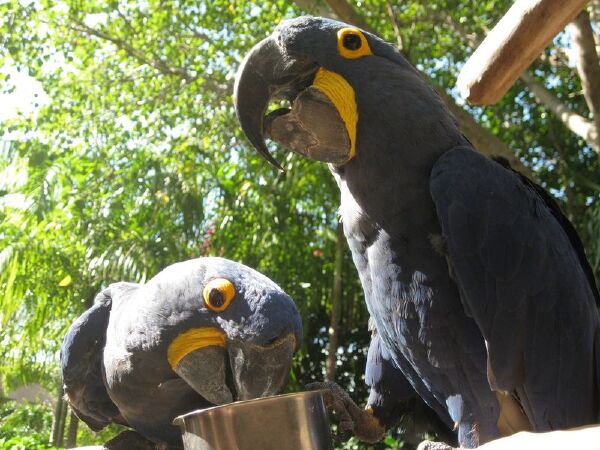 春天去迈阿密旅游必备物品_春天去迈阿密旅游