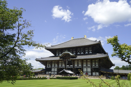 <日本东京-大阪-京都-奈良6日游>济南三飞，升级两晚酒店，1晚露天温泉，A东京塔、宇治茶道和服体验B茶道体验、网红狮子神社