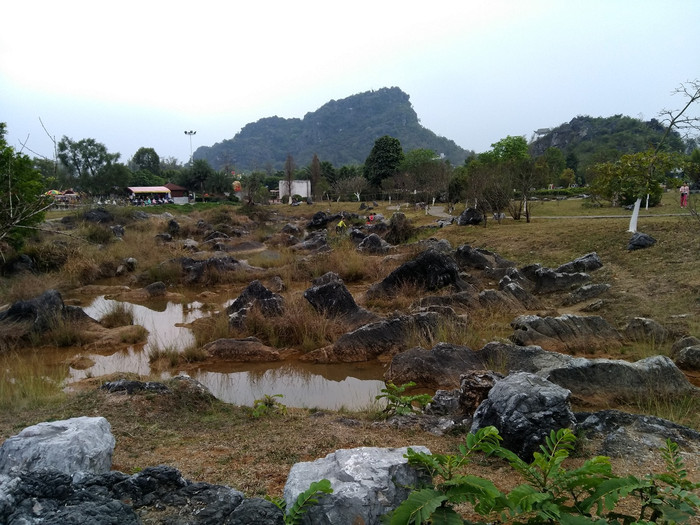 会仙河公园位于北流市城西新区内,占地面积1800亩.