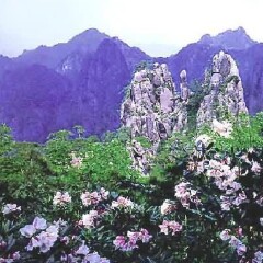 景点模块 
