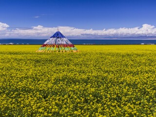 青海湖游跟團(tuán)多少錢2021_青海湖旅游要多少錢跟團(tuán)_去青海湖旅游