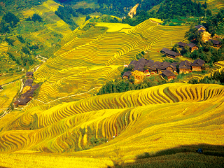近期桂林游价格_桂林旅游案_桂林8日旅游团
