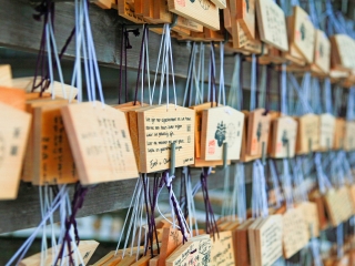 去日本旅游价格_今年去日本旅游_康辉日本旅游