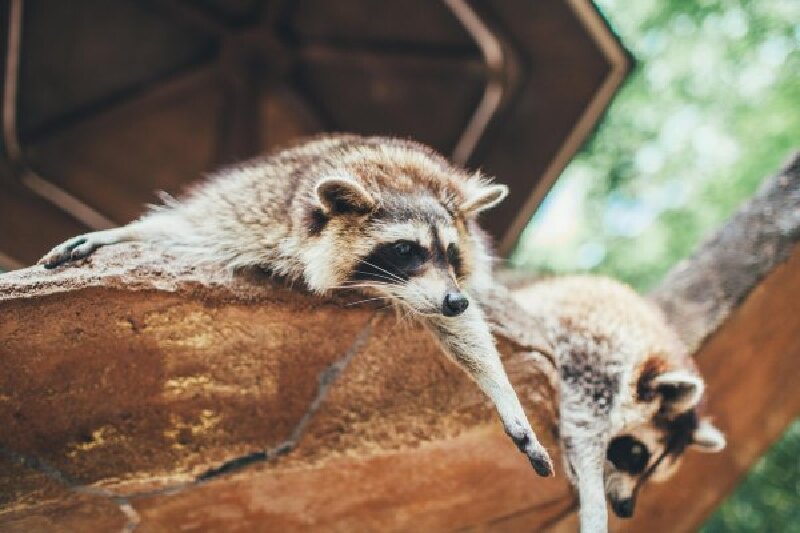 双城记丨疏零旧怡保打扪迷失世界,逛吃乐槟城