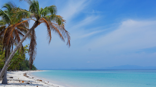 <沙巴美人鱼岛+红树林+神山4天3晚半自助游