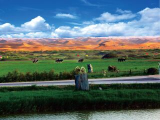 寧夏半自助游_寧夏旅游價(jià)格多少跟團(tuán)_寧夏報(bào)團(tuán)旅游多少錢(qián)