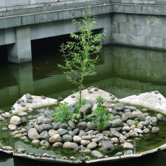 归元寺的#旅图换旅费#