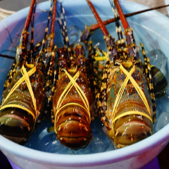 美奈港的#旅图换旅费# #旅拍#