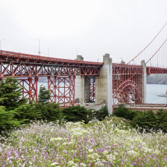 金门大桥的#旅图换旅费# #建筑# #旅拍#