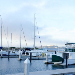 渔人码头的#旅图换旅费# #旅拍# #建筑#