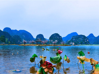 云南游跟團(tuán)_云南特價(jià)旅游團(tuán)報(bào)價(jià)_云南旅游組團(tuán)