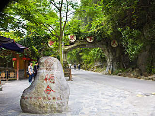 跟团旅游网张家界_张家界11日游_东莞到张家界游