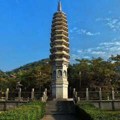 活动模块 