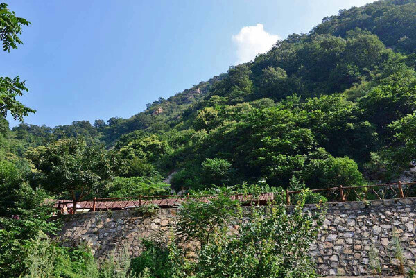 澳新旅游带什么特产回国送人_澳新特色伴手礼