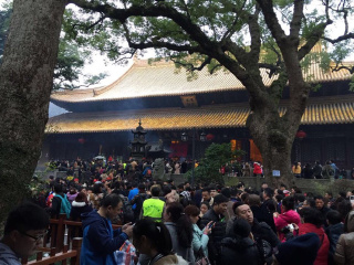 寧波普陀山游花多少錢_寧波普陀山跟團(tuán)還是自由行_深圳特價(jià)寧波普陀山游