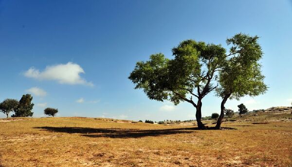 坝上2月天气怎么样_坝上2月穿衣指南_坝上2月
