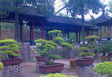 长沙盆景园