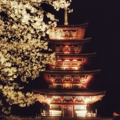 武汉东湖磨山景区的#旅图换旅费#