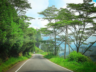 到斯里蘭卡旅游多少錢_斯里蘭卡旅游團報價自由行_斯里蘭卡旅行團自由行