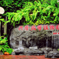 兴隆热带植物园 景点模块