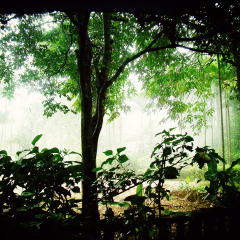 兴隆热带植物园 景点模块