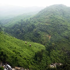 岘港巴拿山的#旅图换旅费#