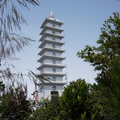 岘港巴拿山的#旅图换旅费#