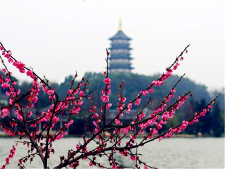 華東2人旅游需要多少錢_華東九月旅游_跟團華東游價格