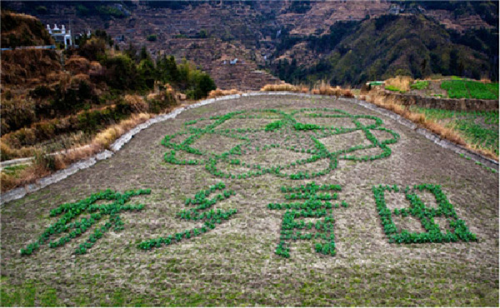记侨乡青田冬游,满眼欧陆风情