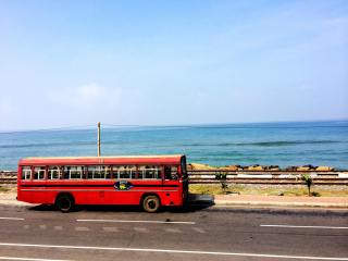 过年去斯里兰卡旅游_斯里兰卡旅游团价格多少_到到斯里兰卡旅游