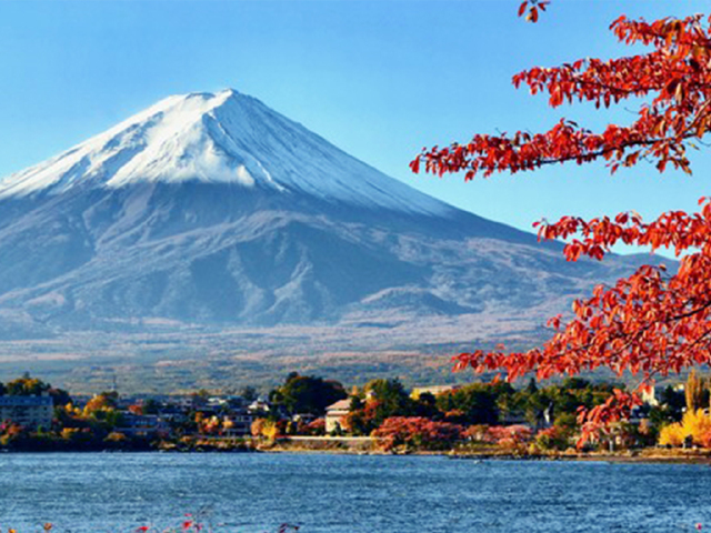 富士山gdp_富士山樱花