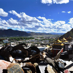 小交通模块 