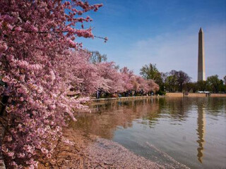 春節(jié)美國加拿大旅游價格_美國加拿大游 旅行團(tuán)_春節(jié)假期去美國加拿大游價格