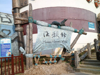 大連游花多少錢_香港旅游團大連_大連旅游多少錢