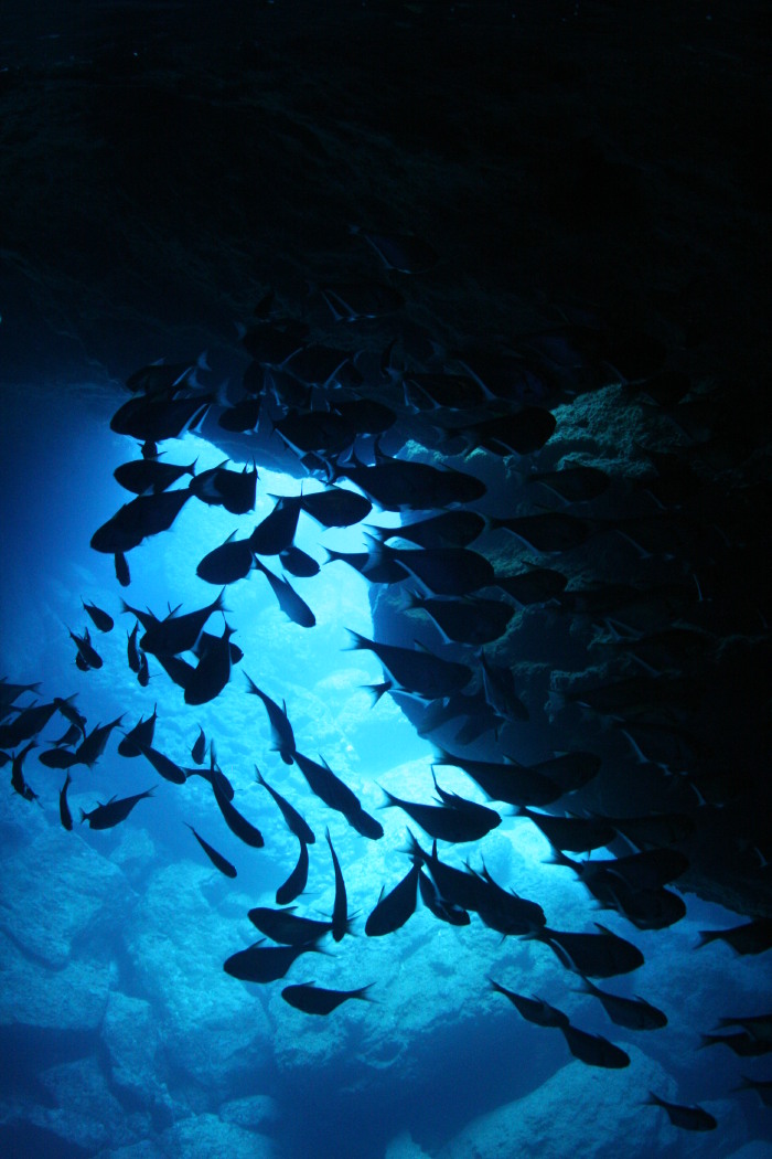 I  SAIPAN 海陆空 塞班岛5天4晚自由行