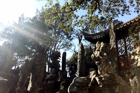 [清明]<苏州狮子林-寒山寺-虎丘1日游>纯玩0购物，苏式导游带你游江南，假山王国狮子林，姑苏城外寒山寺