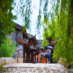 活动模块 