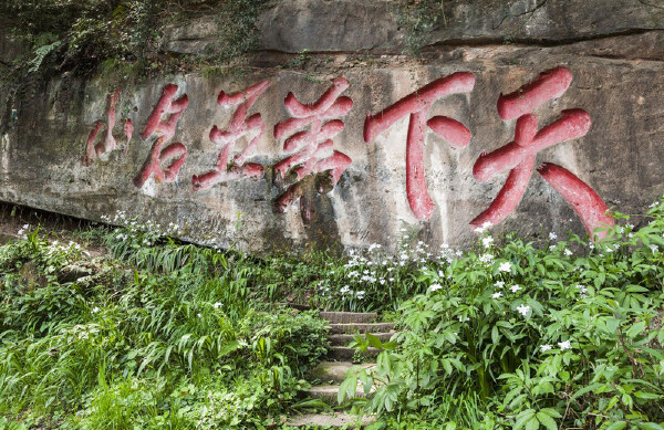 春天去青城山穿衣指南_春天去青城山穿什么衣