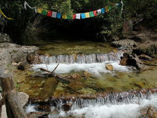 西藏游花多少錢_西藏跟團還是自由行_西藏旅游一次多少錢
