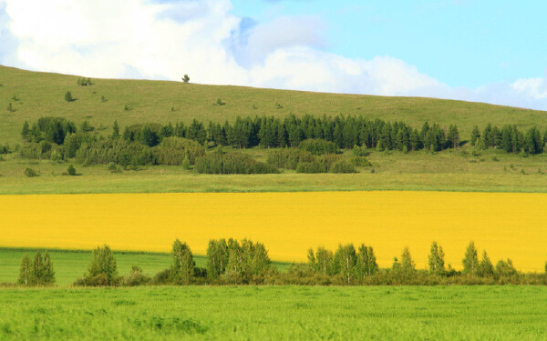 春天去夏洛特穿衣指南_春天去夏洛特穿什么衣