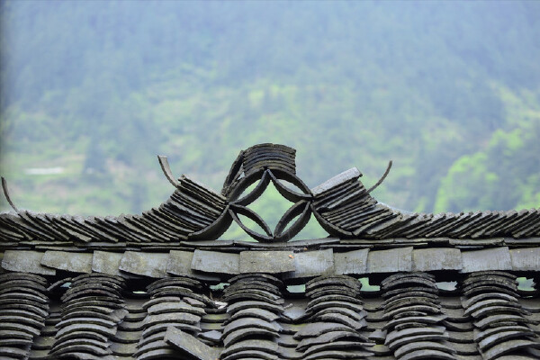 四月去贵州穿衣指南_四月去贵州穿什么衣服_